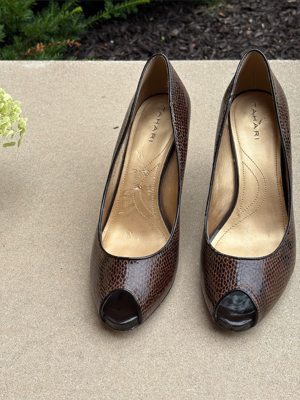 Tahari Dark Brown Snakeskin Peep-Toe Pumps
